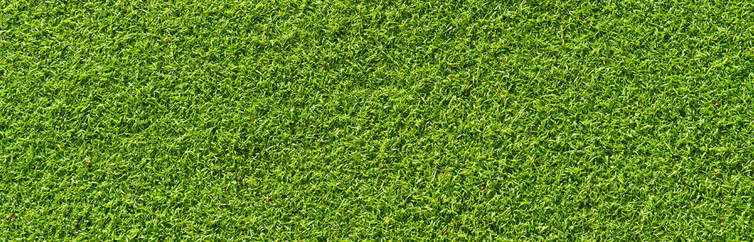 Artificial lawn installation in Harrisdale by R2’ficial & Co